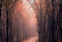 PSG信心满满欧冠争翻盘 红军步步为营.