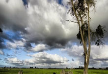 征途国际：[德甲]多特蒙德赢了 德甲冠军近了.