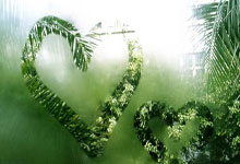 征途国际：[德甲]多特蒙德赢了 德甲冠军近了.