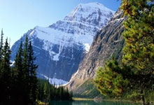 征途国际：赛后对骂，多人被重罚！中新体坛.