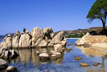 征途国际：记者：伊万科维奇与李磊将出席今天的赛前发布会.